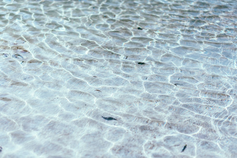 Sunlight rippling across clear shallow water